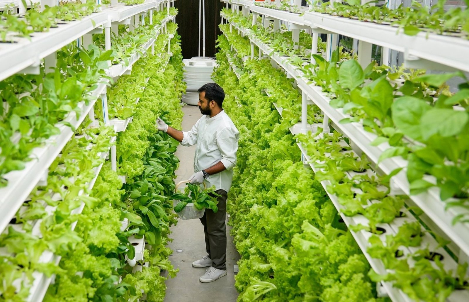 Top 7 Global Innovations in Hi-Tech Agriculture: Transforming the Agricultural Landscape