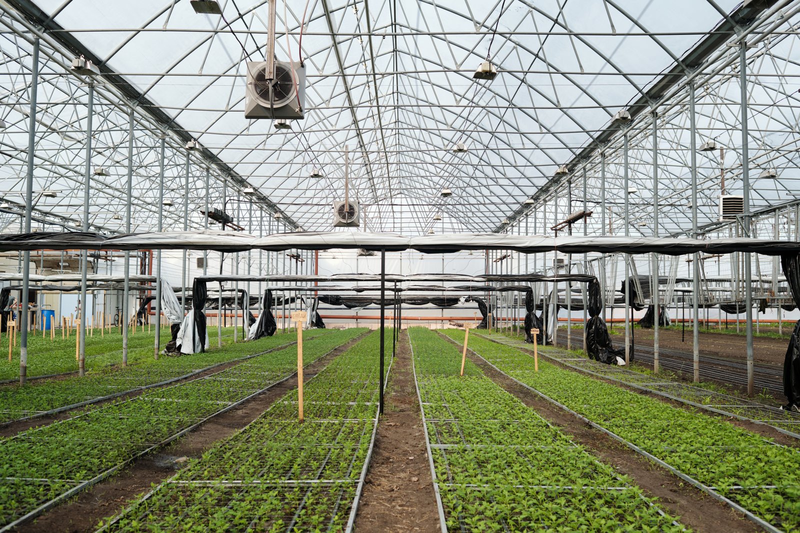 Enhance Your Greenhouse Cultivation with Agriplast Tech India Private Limited’s Shade Net Solutions