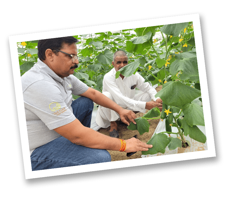 Agriplast Mulch, Mulch films, Agricultural mulch, Crop yield enhancement, Weed control, Soil moisture conservation, Farming solutions, Plastic mulch, Agricultural plastics, Mulching materials