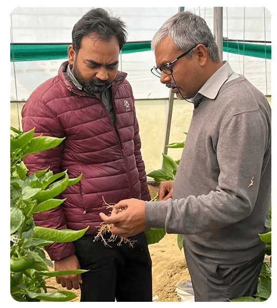 Agriplast Workshop, Protected Farming, Agriculture Training, Crop Management, Capsicum Farming, Floriculture, Farming Workshop Bangalore, Agripreneur Training, Advanced Farming Techniques, Sustainable Agriculture