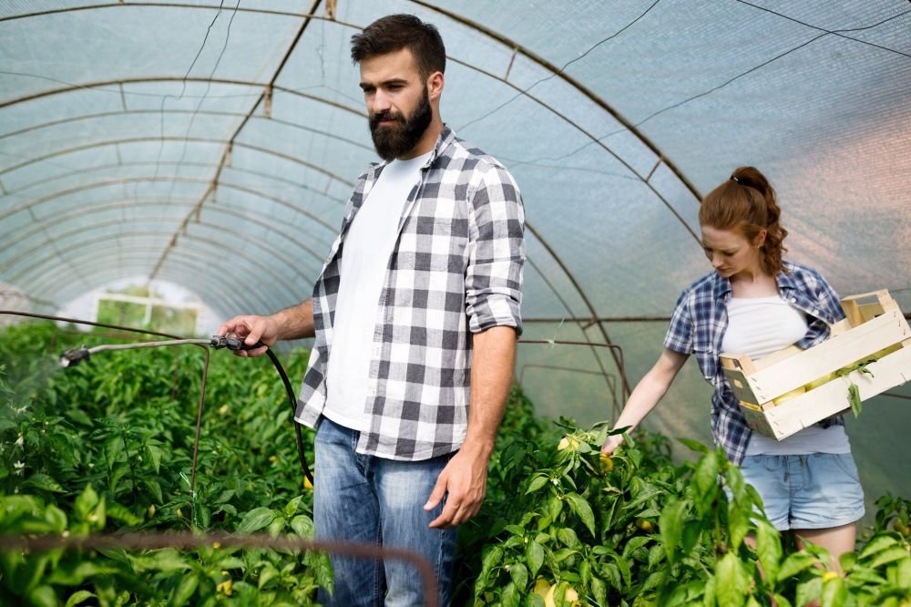 Optimise Greenhouse Crop Protection with Agriplast Tech India Private Limited's Insect Net Solutions Image