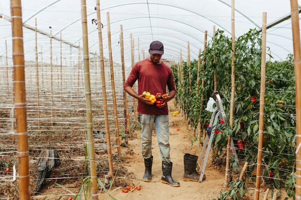Unlock the Full Potential of Your Greenhouse with Agriplast Tech India Private Limited's Ginegar Film Image