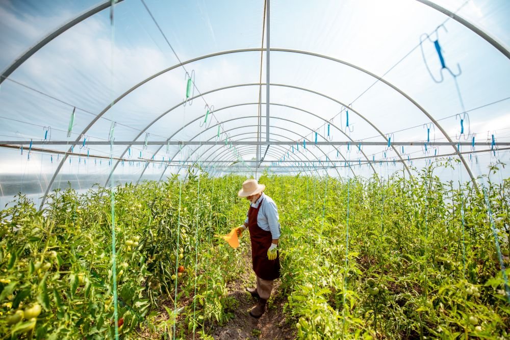 Ginegar Greenhouse Film: Key to Thriving Crops Image