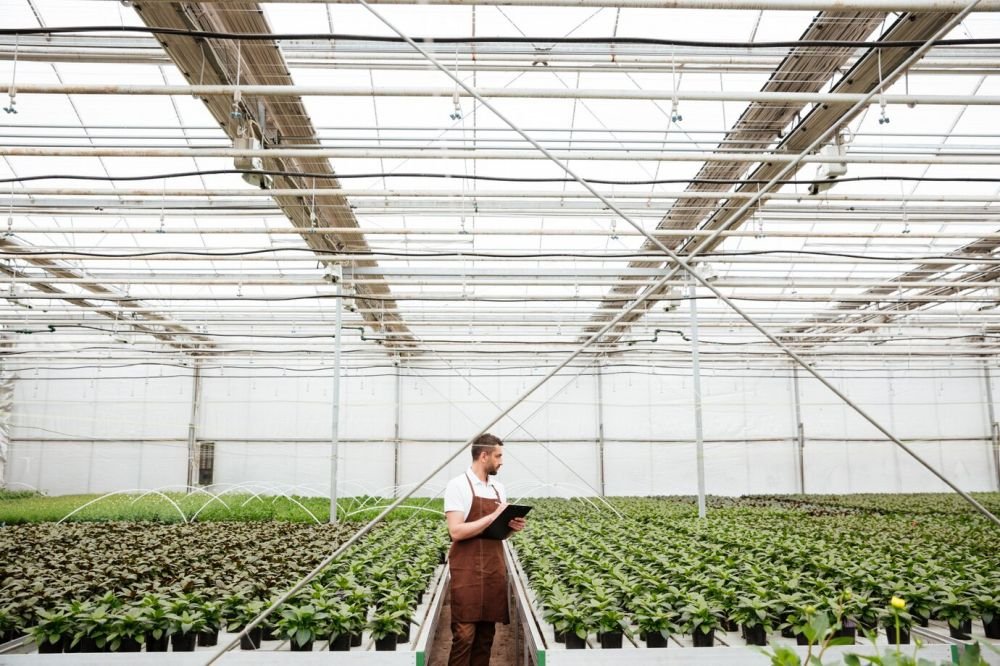 How Shade Nets Solutions Revolutionise Light Management in Floriculture Image