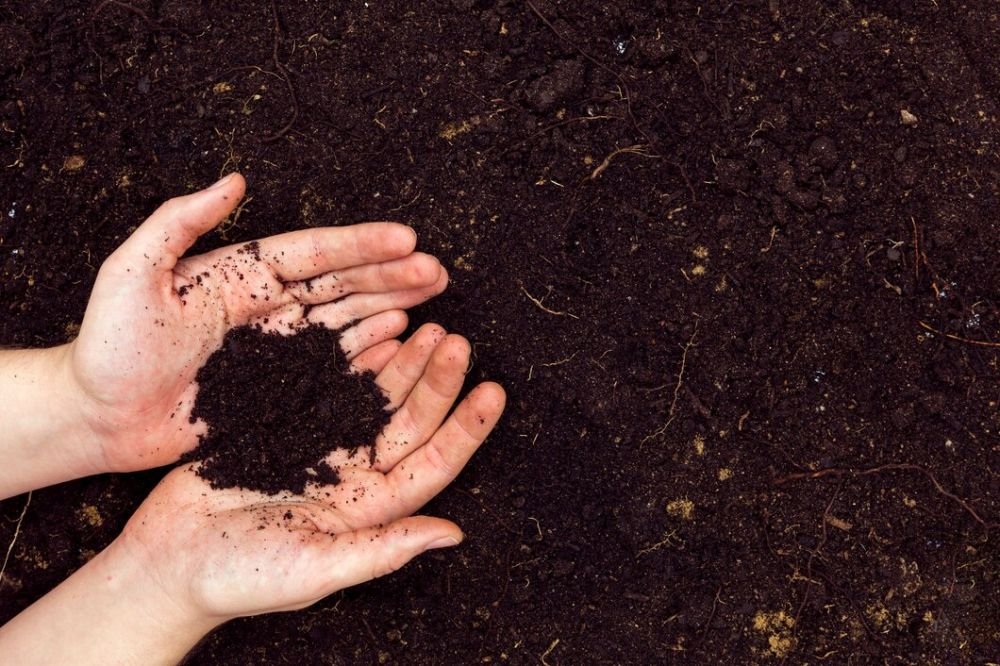 Effective Mulching Techniques for Improved Soil Health Image
