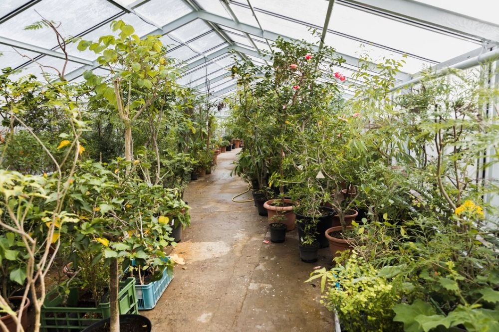 Advantages of Skirting Film for Greenhouse Temperature Management Image