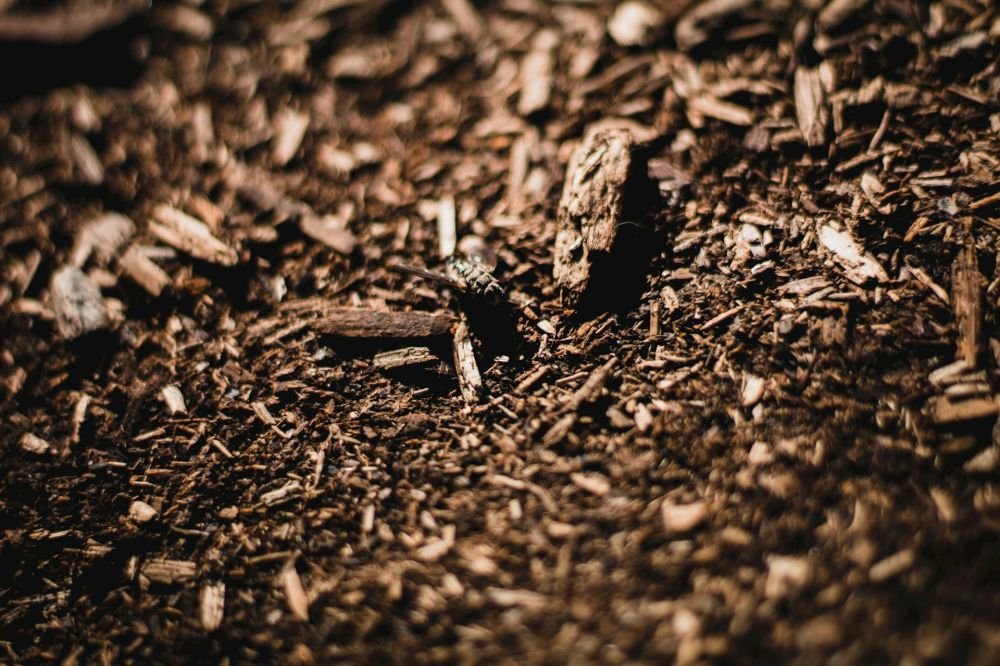 Enhance Soil Health with Agriplast Mulch Solutions Image