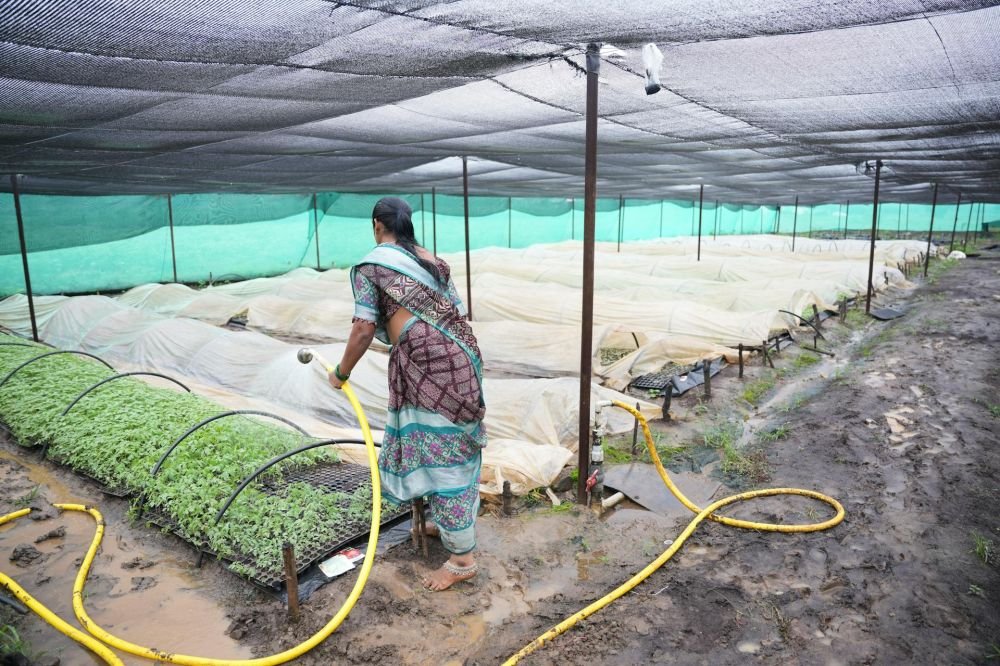 Enhance Your Harvest with Agriplast Crop Shield Cover Image