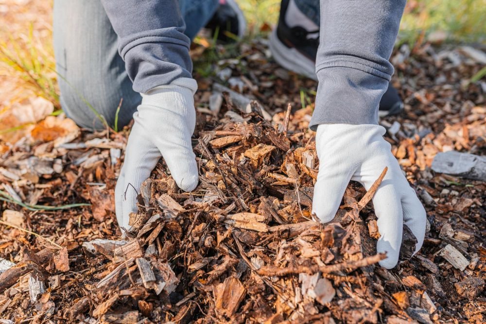 Mulch: Enhancing Soil Health and Water Retention Image