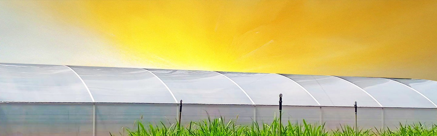 Ginegar Driplock Clear