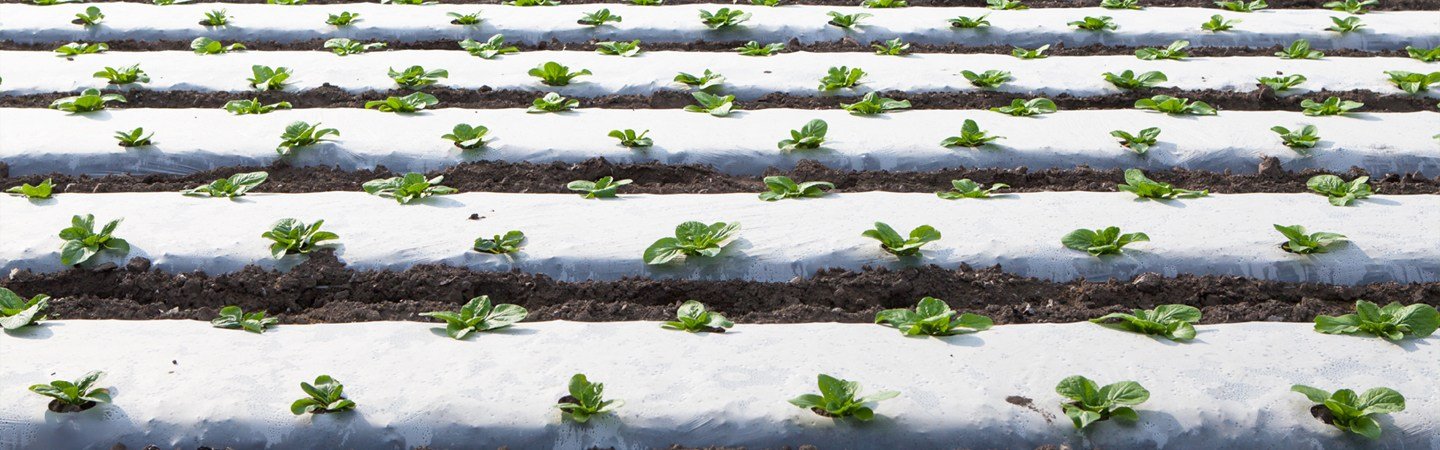 Ginegar Embossed mulch Image