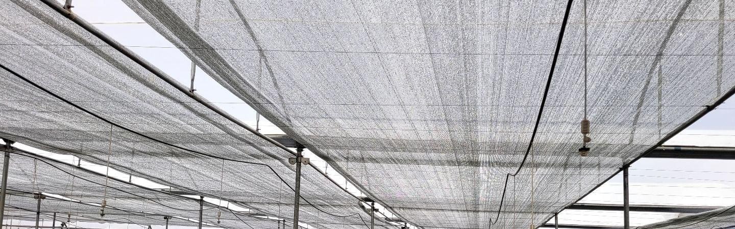 Ginegar Polysack Nets Aluminet Image