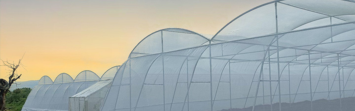 Agriplast Shade Net (Mono x Mono) Image