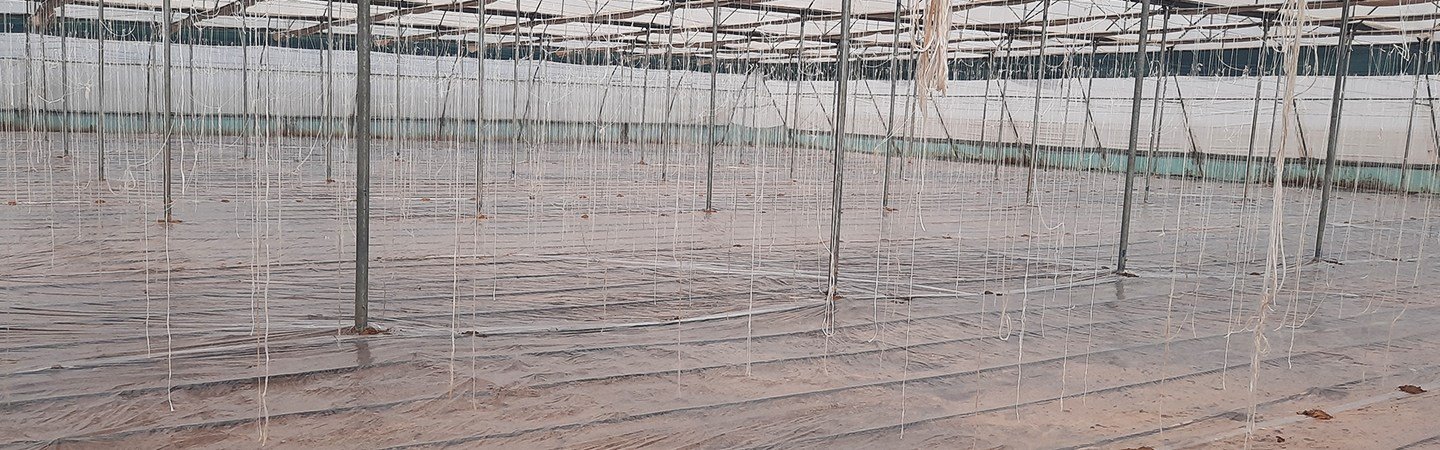 Soil Solarization/Low tunnel Film