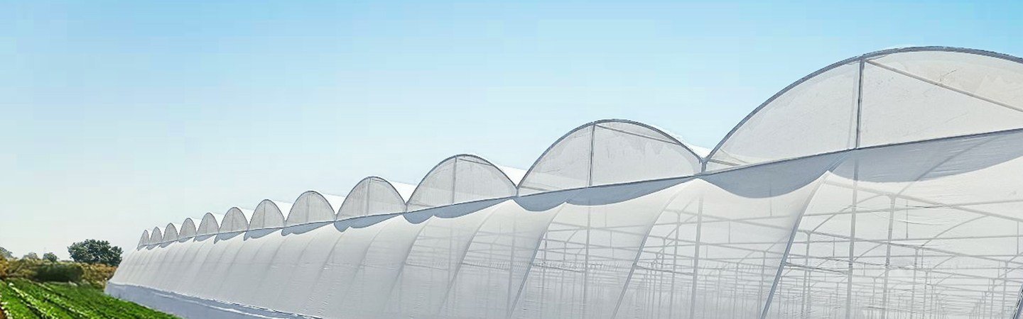 Ginegar Opinet - New Gen Insect Net Image