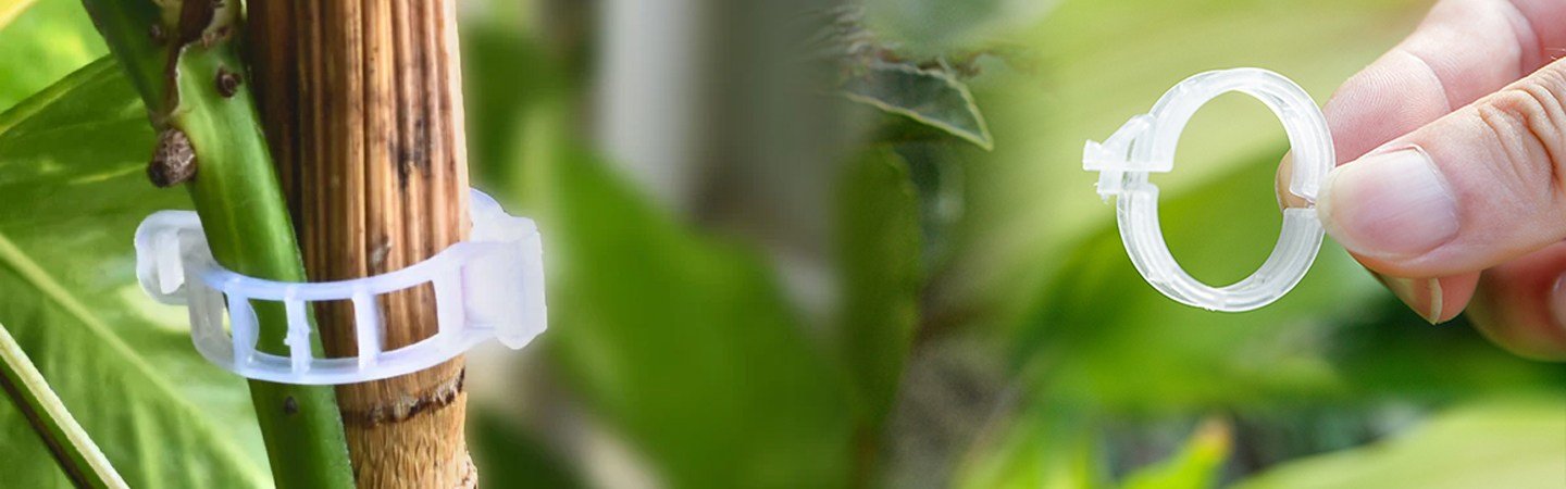 Tomato Clip White 23mm Image
