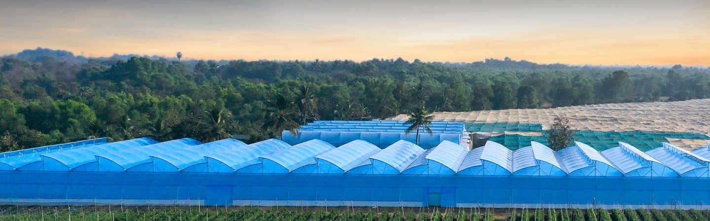 Greenhouse Solutions