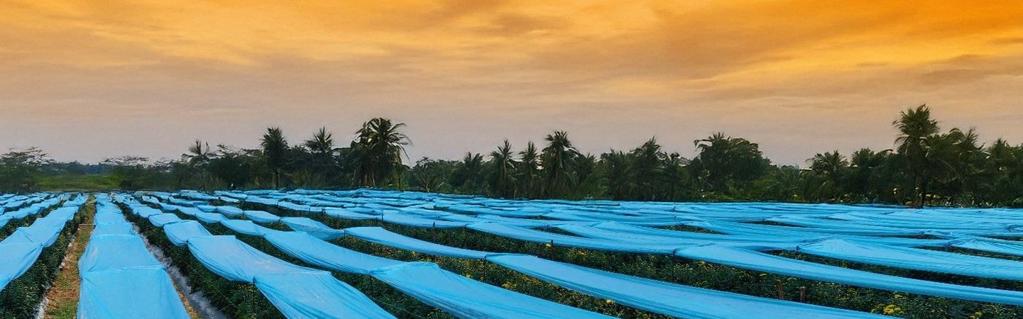 Agriplast Crop Shield Cover