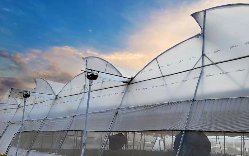 Ginegar Driplock Diffused Image 3