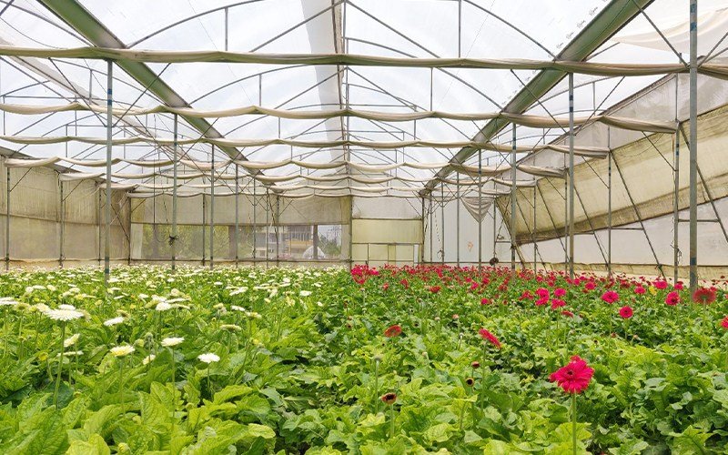 Ginegar Driplock Cool Image 1