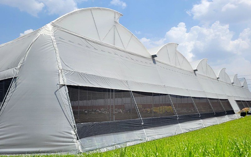 Ginegar Driplock Cool Image 4