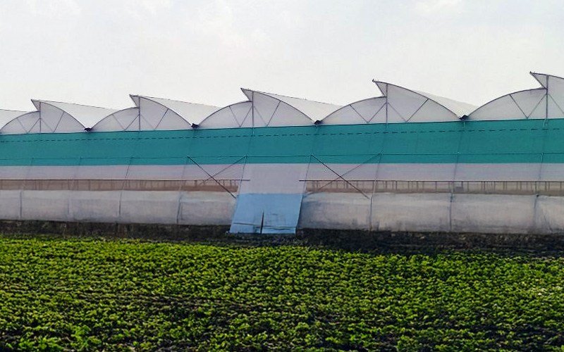 Ginegar Driplock Cool Image 2