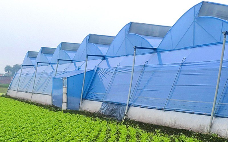 Ginegar Driplock Diffused Blue Image 1