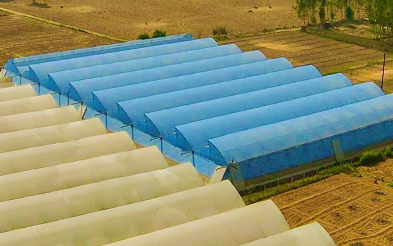 Ginegar Driplock Diffused Blue Image 3