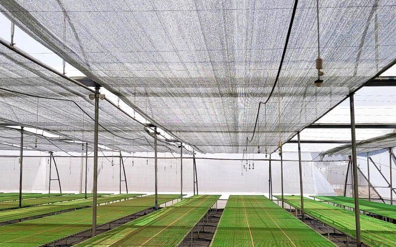 Ginegar Polysack Nets Aluminet Image 4