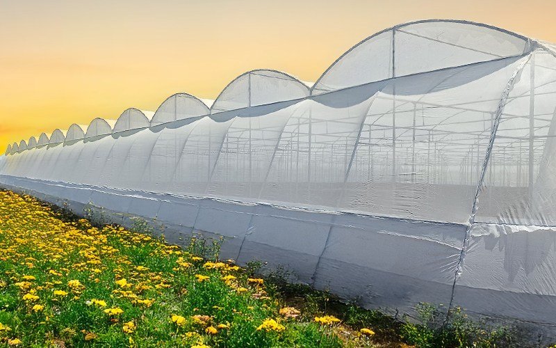 Agriplast Shade Net (Mono x Mono) Image 3