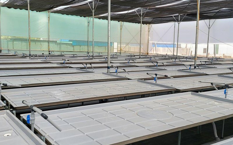 EBB & Flow System Image 1