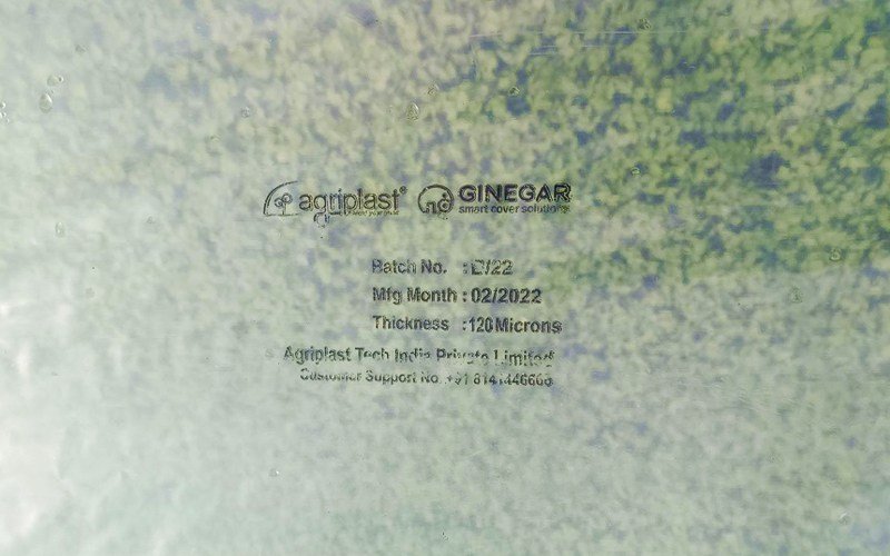 Anti Drip Clear Film for Nursery Image 4