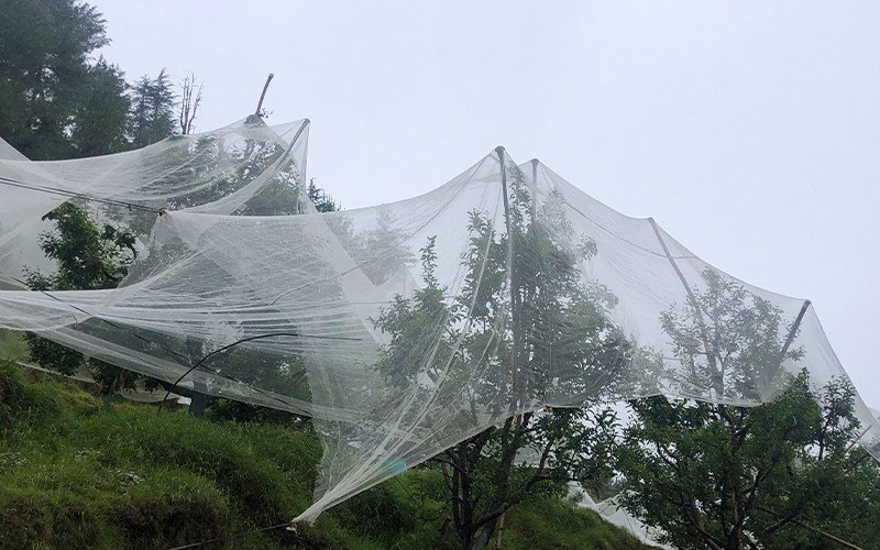 Agriplast Anti-Hail Net Raschel Image 4