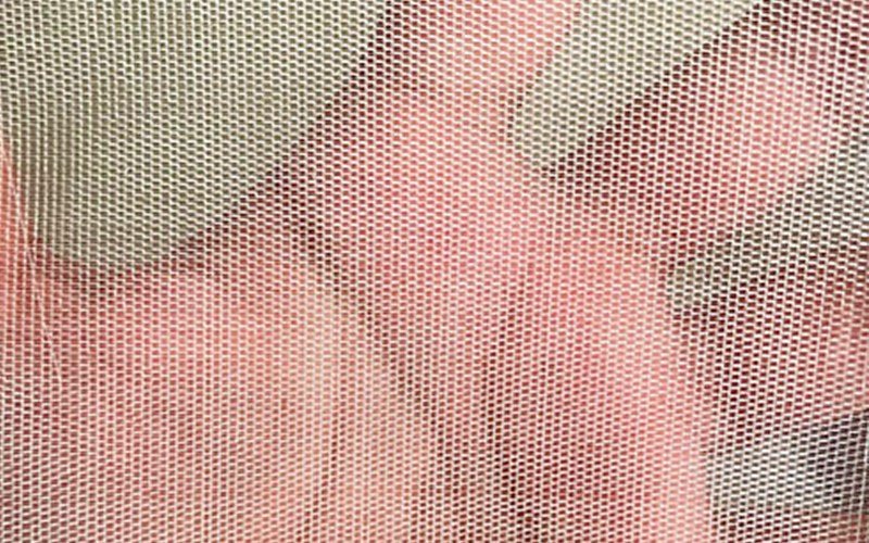 Insect Net Image 2