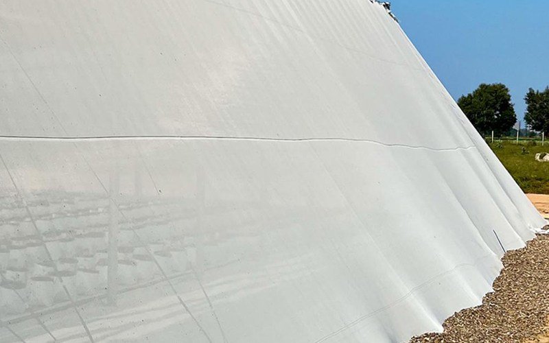 Ginegar Opinet - New Gen Insect Net Image 2