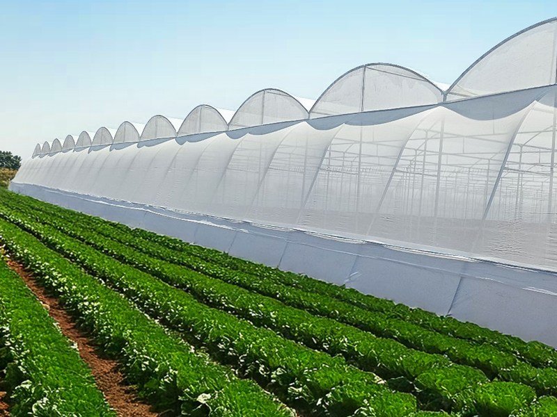 Ginegar Opinet - New Gen Insect Net Image 4