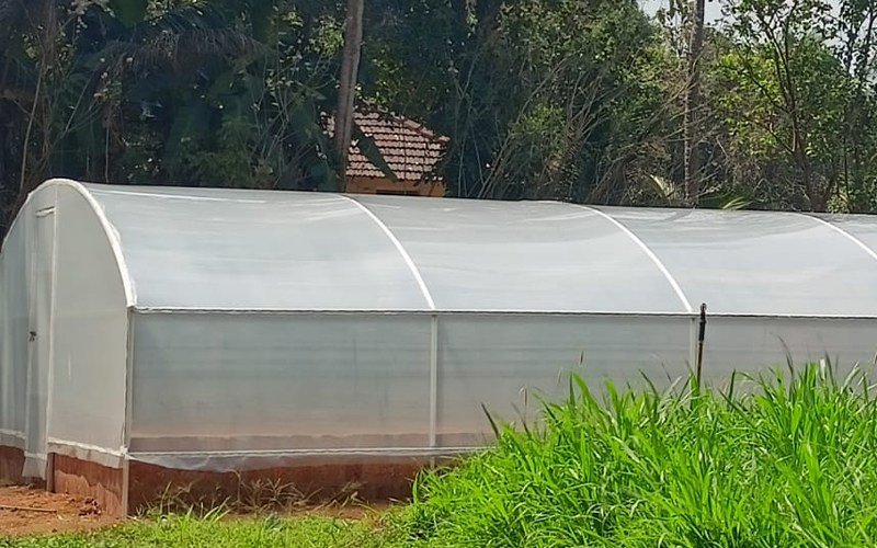 Ginegar Driplock Clear Image 4