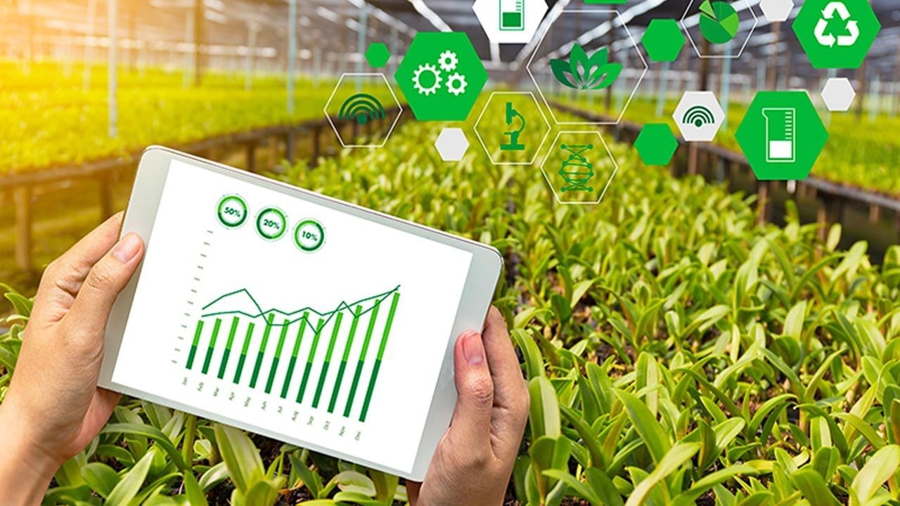 Principles of Greenhouse Climate Management Image