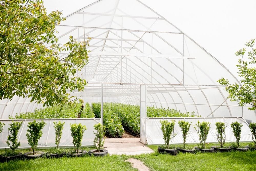 Maximise Greenhouse Efficiency with Agriplast Tech India Private Limited’s Ginegar Greenhouse Film Solutions Image
