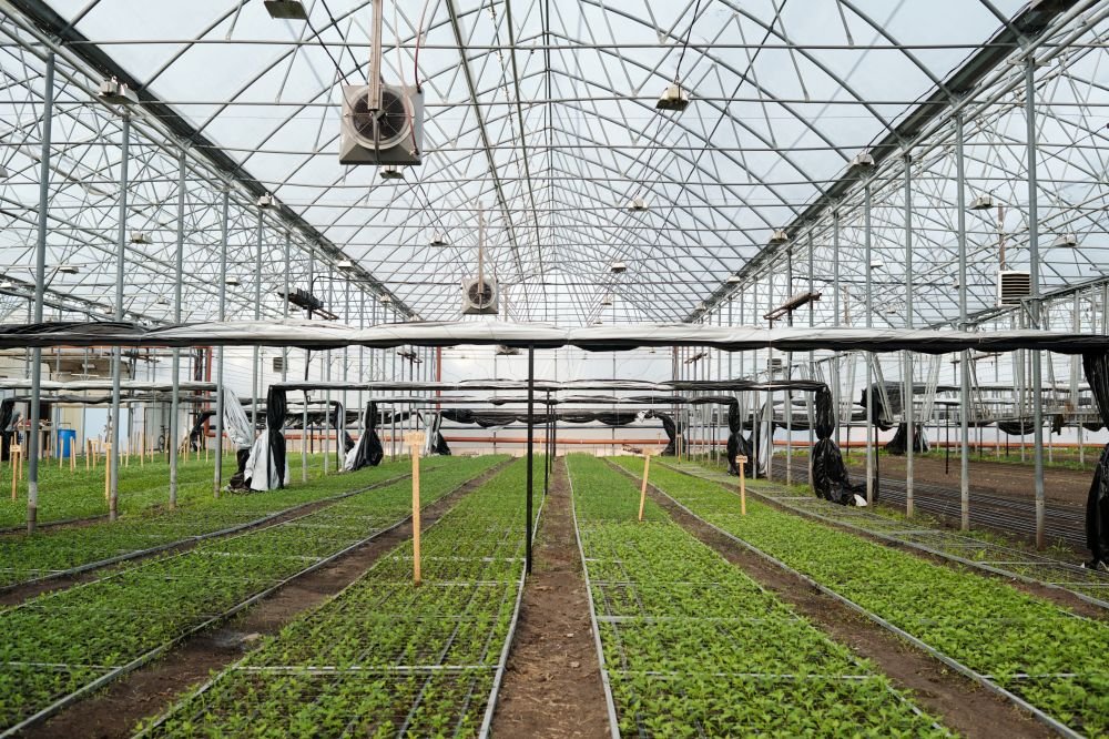 Enhance Your Greenhouse Cultivation with Agriplast Tech India Private Limited’s Shade Net Solutions Image
