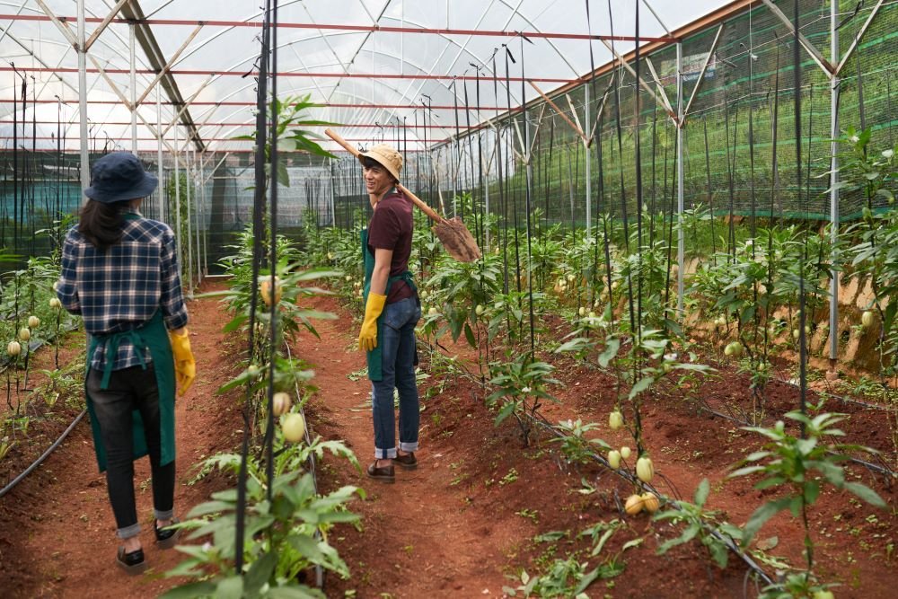 Ginegar Greenhouse Film: Enhance Crop Yield with Advanced Technology Image