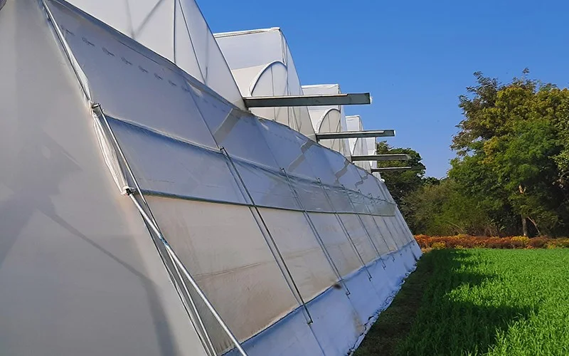 UV Stabilised Greenhouse Film: Why UV Protection Is Non-Negotiable in India Image