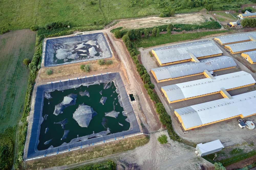 How Pond Liners Ensure Reliable Water Storage for Irrigation Image