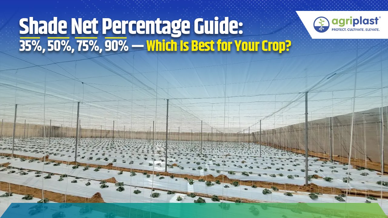 Shade Net Percentage Guide: 35%, 50%, 75%, 90% — Which Is Best for Your Crop? Image