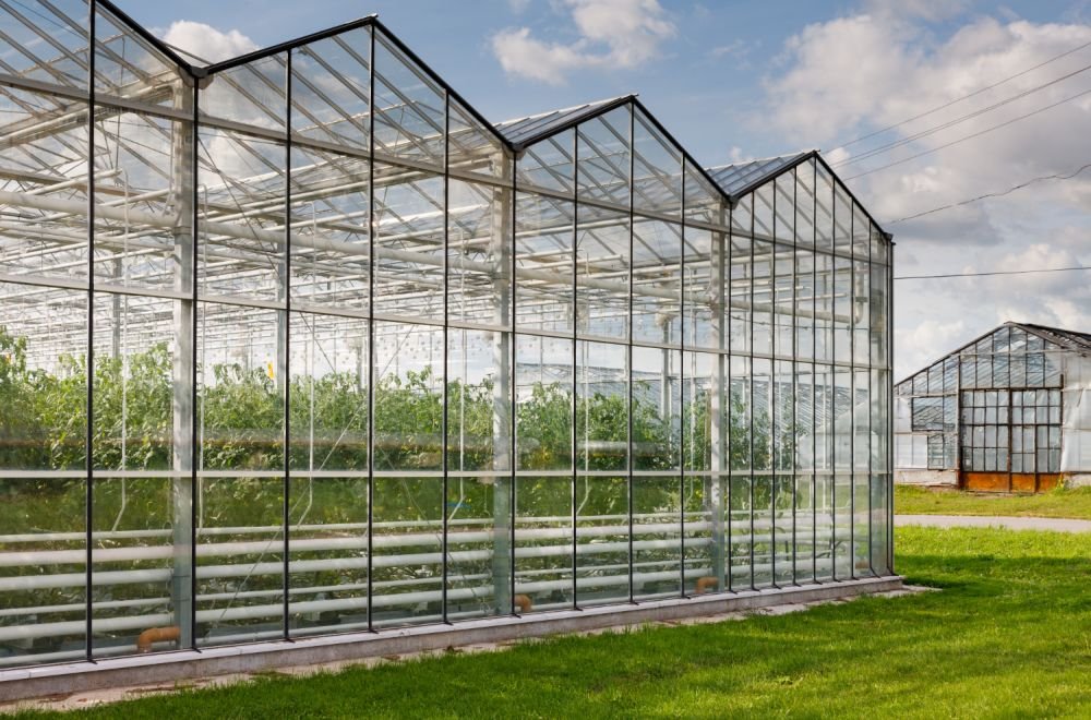 Protect Your Crops with Shade Nets Solutions Image