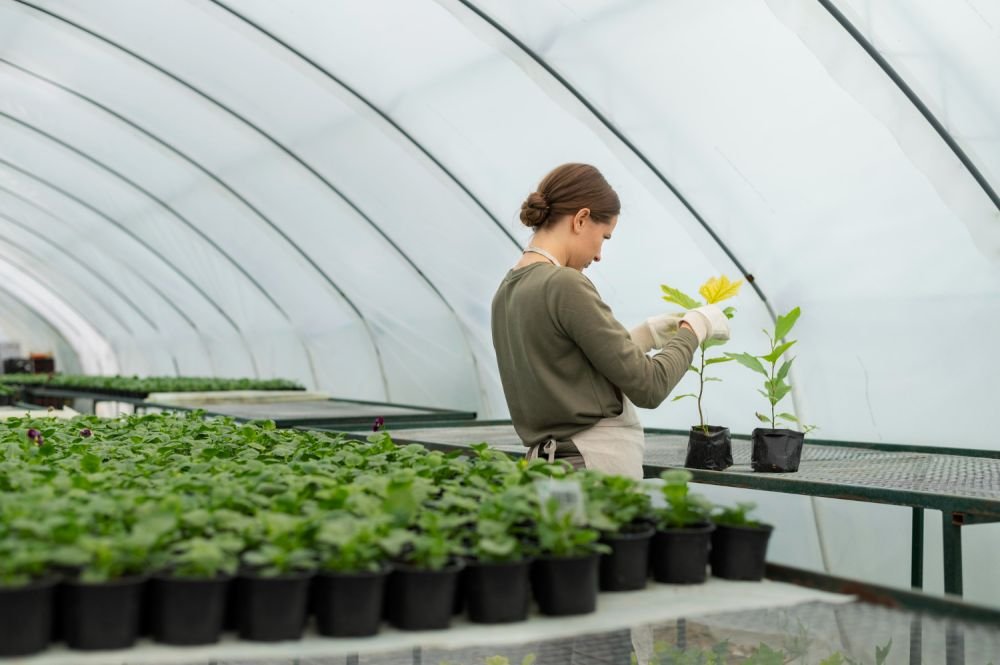 Using Ginegar Greenhouse Film for Year-Round Crop Protection Image