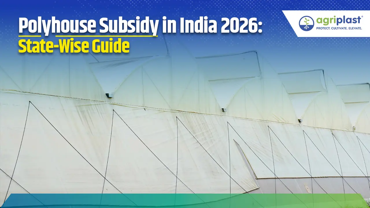 Polyhouse Subsidy in India 2026: Complete State-Wise Guide Image