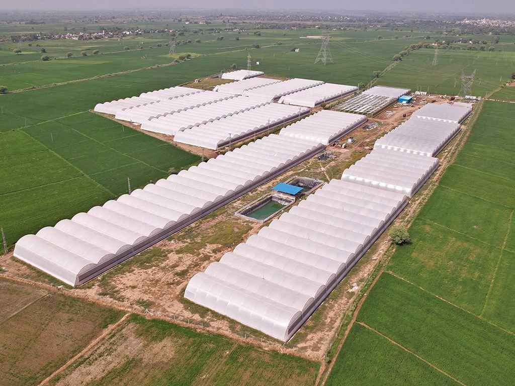 How to Clean Greenhouse Plastic Film: Care Guide 2026 Image