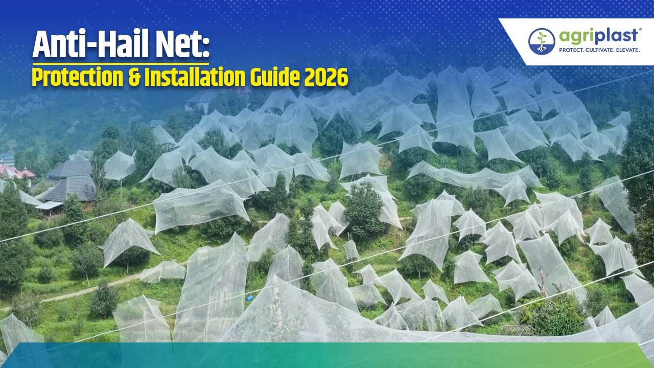 Anti-Hail Net: Protection & Installation Guide 2026 Image