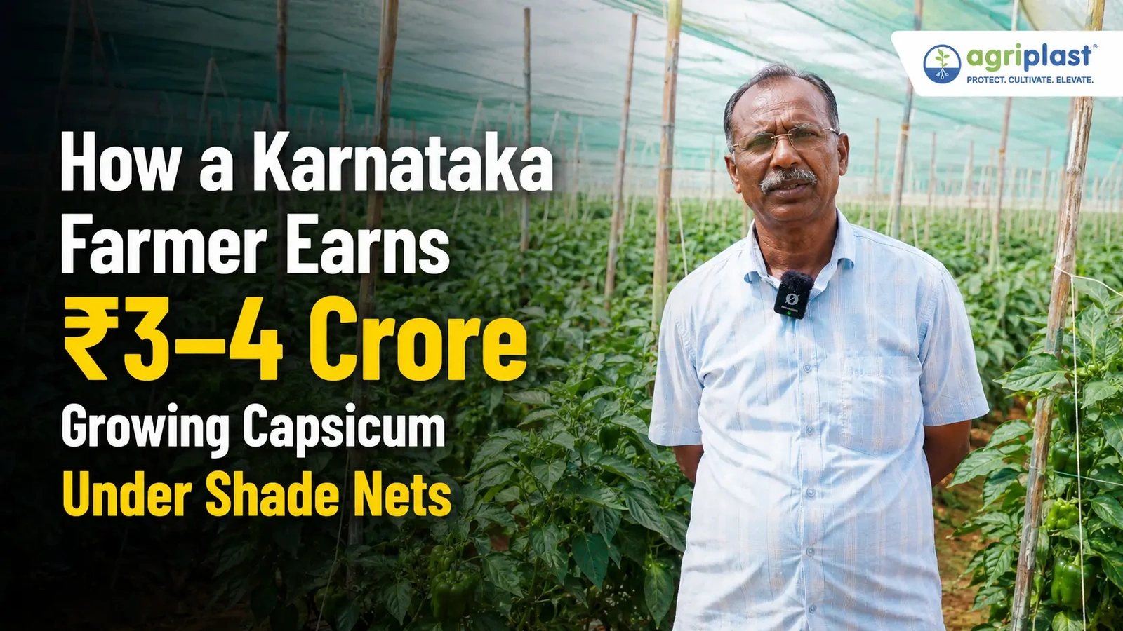 How a Karnataka Farmer Built a ₹3–4 Crore Summer Capsicum Business Under Shade Net image